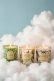 Набор ароматических свечей Baobab Collection Tomorrowland подарочный, ручная работа, 3 шт. по 80 г — фото 6