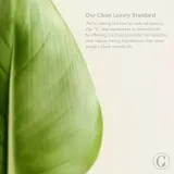 Сыворотка для лица Chantecaille Blue Light Protection Hyaluronic Serum с гиалуроновой кислотой, увлажняющая, 30 мл — фото 2