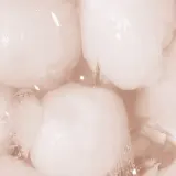 Зубная паста LYSS Fresh Lychee с фторидом натрия и ксилитом, 60 мл — фото 4