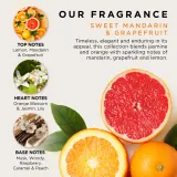 Baylis & Harding Sweet Mandarin & Grapefruit - Набор для ухода за руками и телом Baylis Harding Sweet Mandarin Grapefruit Luxury Hand Care подарочный, из двух средств — фото 3