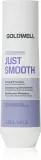 Шампунь для волос Goldwell Dualsenses Just Smooth Taming Shampoo разглаживающий, для всех типов волос — фото 1