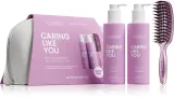 Набор для волос ICONIQUE Professional CARING LIKE YOU Set шампунь 250 мл, кондиционер 250 мл и щётка BrushArt, подарочный — фото 1