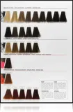L’Oréal Professionnel Inoa ODS2 - Краска для волос L’Oreal Professionnel Inoa ODS2 стойкая, закрашивающая седину, 60 г, 60 г, оттенок 9,12 — фото 3