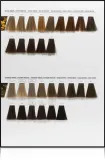 L’Oréal Professionnel Inoa ODS2 - Краска для волос L’Oreal Professionnel Inoa ODS2 стойкая, закрашивающая седину, 60 г, 60 г, оттенок 9,12 — фото 5