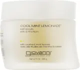 Скраб солевой для тела Giovanni Cool Mint Lemonade с мятой и цитрусом, 260 мл — фото 1