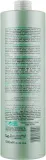 Бивалентный шампунь ING Professional Treat-ING Bivalent Shampoo против перхоти 3 в 1 250 мл — фото 4