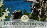 Натуральное туалетное мыло Nesti Dante Macchia Odorosa Средиземноморское прикосновение, 250 г — фото 1