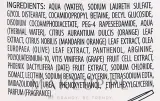 Глубоко очищающий шампунь Vitality's Intensive Aqua Re-Integra Shampoo pH 7,5, 1000 мл — фото 2