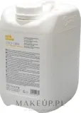 Шампунь Milk_Shake Color Care Color Maintainer для окрашенных волос с протеинами пшеницы и молока, 1000 мл — фото 6