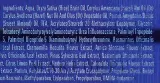 Увлажняющая маска для лица BingoSpa для обезвоженной пересушенной кожи 150 г — фото 3