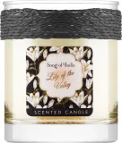 Song Of India Song of India Lily of the Valley Candle - Ароматическая свеча Konwalia (Ландыш), 200 г — фото 1