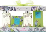 Набор Spa Moments Tropical Rain два геля для душа соль для ванны мыло и губка — фото 1
