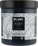 Black Professional Line Black Professional Line Blanc Volume Up Mask - Маска для волос Black Professional Blanc Volume Up для объёма, для тонких волос, экстракт бамбука, пышность и блеск, 1000 мл — фото 2
