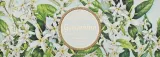 Saponificio Artigianale Fiorentino Saponificio Artigianale Jasmine Scented Soap (3 x soap 100 g) - Набор натурального мыла Saponificio Artigianale Жасмин с глицерином 3x100 г — фото 1