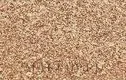 PuroBio Cosmetics Rozświetlacz - Хайлайтер для лица PuroBio Resplendent Highlighter, оттенок 03