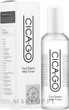 Тоник-мист для лица Isoi CICAGO Cica Expert успокаивающий с центеллой 150 мл — фото 2