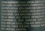 Шампунь Bulgarian Rose For Men против выпадения волос с кофеином 250 мл — фото 3