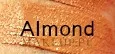 Корректор для лица SkinDivision Perfect Concealer жидкий, шелковистый, 6 мл, оттенок Almond