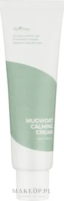 Крем для лица IsNtree Spot Saver Mugwort для чувствительной кожи с экстрактом полыни 50 мл