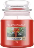 Yankee Candle The Last Paradise — свеча в банке — фото 1