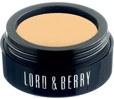 Lord & Berry Kremowy korektor do twarzy - Корректор для лица Flawless Creamy Concealer кремовый, плотная консистенция, 2 г