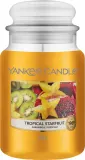 Yankee Candle Tropical Starfruit / Ароматическая свеча в стекле, грейпфрут, карамбола и ваниль, 104 г — фото 3