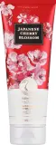 Увлажняющий гель для душа Bath & Body Works Japanese Cherry Blossom с маслом ши и какао, 295 мл — фото 1