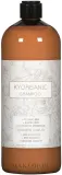 Шампунь Kyo Kyorganic органический с чёрным чаем, бамбуком и аминокислотами — фото 1