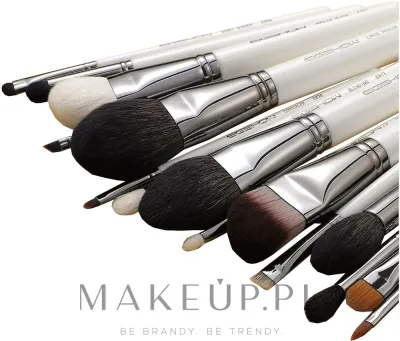 Набор кистей для макияжа Eigshow Beauty Master Series Classic Brush Kit Light Gun Black 15 шт