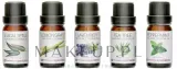 Rio-Beauty Rio Aromatherapy Oil Collection (oil/5x10ml) - Набор эфирных масел Rio ароматерапия мята чайное дерево лаванда лимон и эвкалипт 5x10 мл — фото 2
