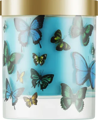 Portus Cale Butterflies / Ароматическая свеча в стекле, сахарный тростник и лемонграсс, 210 г