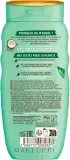 Шампунь для волос Lovea Coconut & Green Tea с кокосом и зелёным чаем, 250 мл — фото 2