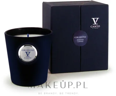 V Canto Cor Gentile / Ароматическая свеча в стекле, мускус, мирра и роза, 250 г
