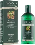 Шампунь BiosLine BioKap Rebalancing восстанавливающий с имбирём и ладаном для повреждённых волос, 200 мл — фото 1