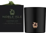 Noble Isle Lightning Oak / Ароматическая свеча в стекле, ветивер, розовый перец и бергамот, 200 г — фото 2