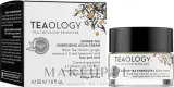 Крем для лица Teaology Ginger Tea увлажняющий на водной основе 50 мл — фото 2