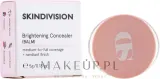 Корректор для лица SkinDivision Brightening Concealer Balm с сияющим эффектом, бальзамовая текстура, 5 г, оттенок Beige — фото 1