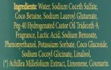 Жидкое мыло Saponificio Artigianale Fiorentino Vetiver & Argan ветивер и аргана, 500 мл — фото 2