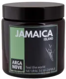 Arganove Jamaica / Соевая свеча, лемонграсс, вербена и манго, 100 мл — фото 1