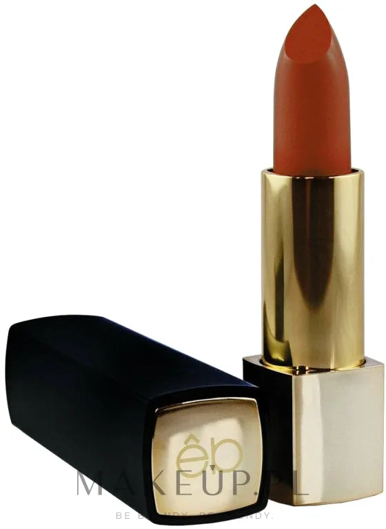 Помада для губ Etre Belle Color Passion Lipstick бархатистая, насыщенного цвета, 4,5 мл, оттенок 10