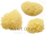Набор натуральных морских губок Hydrea London Honeycomb 6.35 см 2 шт и Fina Silk 1 шт — фото 2