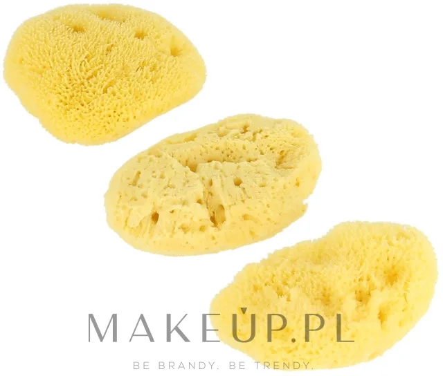 Набор натуральных морских губок Hydrea London Fina Silk Mediterranean 6.35 см 3 шт