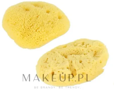 Набор натуральных морских губок Hydrea London Baby Fina Silk 7.62 см