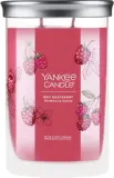 Ароматическая свеча Yankee Candle Red Raspberry — фото 1