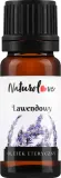 Эфирное масло лаванды Naturolove для ароматерапии и ухода за кожей и волосами — фото 1