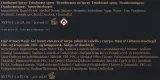 Мужской набор W7 The Better You антиперспирант и гель для волос и тела 2в1 и мочалка 2x200 мл — фото 3