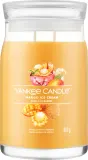 Свеча Yankee Candle Signature Mango Ice Cream — фото 2