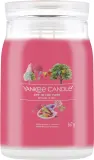 Ароматическая свеча Yankee Candle «Art In The Park» — фото 1