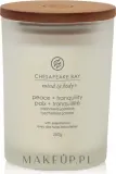 Chesapeake Bay Candle Chesapeake Bay Candle - Свеча Chesapeake Bay — фото 3
