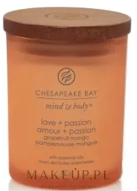 Chesapeake Bay Candle Chesapeake Bay Candle - Свеча Chesapeake Bay